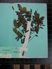 Herbarium sample